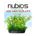 Nubios Plastic Plant with Square Base Aquarium Decor 10 cm