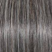 Raquel Welch Made You Look Wig, RL511 Sugar & Charcoal