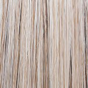 Raquel Welch Made You Look Wig, RL19/23SS Shaded Biscuit