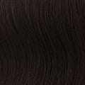 Christie Brinkley The Pony Ponytail Hairpiece, HT4 Darkest Brown