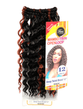Femi Collection Mambo Twin Open Loop Deep Twist Braid 12 in, Color FS1B/350