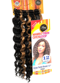 Femi Collection Mambo Twin Open Loop Deep Twist Braid 12 in, Color FS1B/27