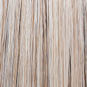 Raquel Welch Made You Look Wig, RL19/23SS Shaded Biscuit