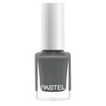Pastel Nail Polish 317 High-Shine Vibrant Color Polish