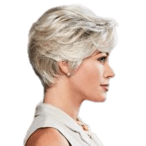 Eva Gabor Perfection Wig