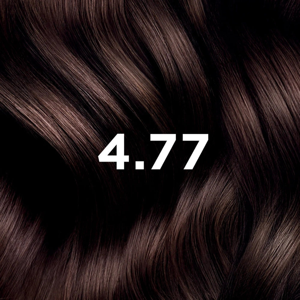 Phyto Color 4.77 Intense Chestnut Copper Hair Dye