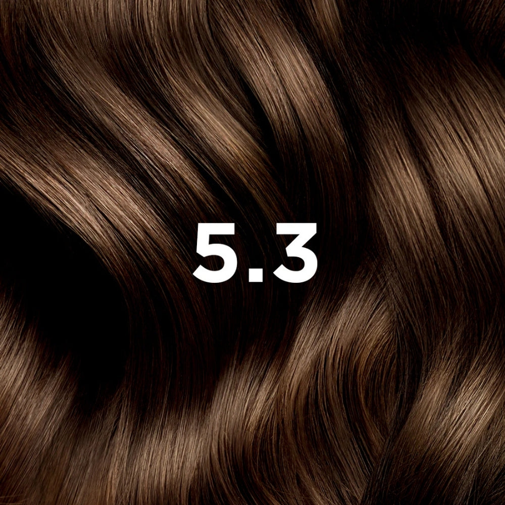 Phyto Color 5.3 Permanent Hair Color Light Golden Brown 1 Kit