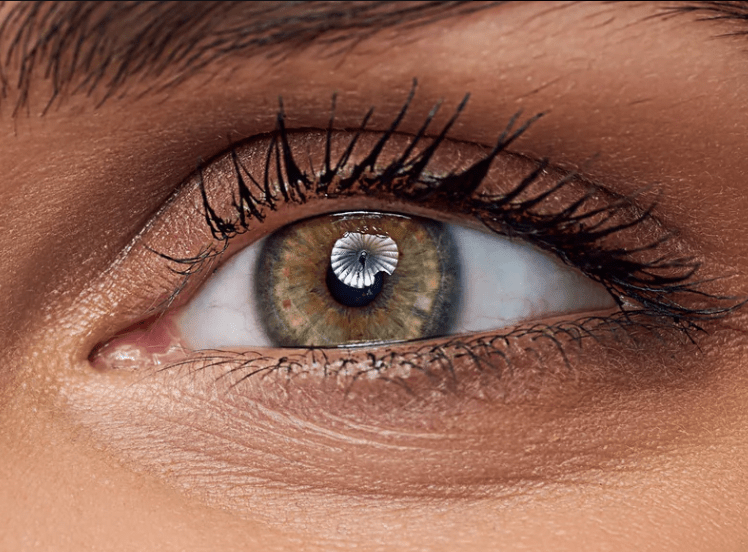 Primal Colored Contact Lenses