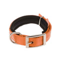 Doca Soft Fabric Turquoise Pet Collar for Dogs and Cats - Adjustable Buckle, Comfortable and Stylish Design