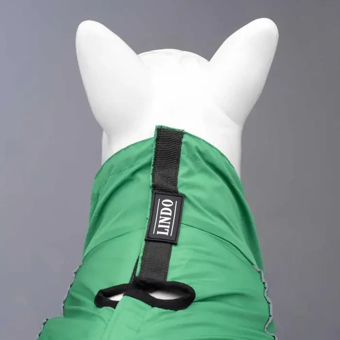 Lindo Quattro Nebula Waterproof Dog Raincoat for All Seasons