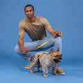 Lindo Quattro Sirius Waterproof Dog Raincoat for All Seasons