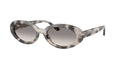 Ray-Ban 0RB2223 Women's Sunglasses with Classic Grey Lenses 54mm
