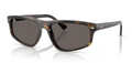 Ray-Ban 0RB2225 710/B1 Classic Men's Sunglasses 57mm