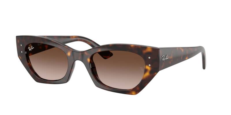 Ray-Ban 0RB4430 13591349 Men's Sunglasses Brown Lens 49mm