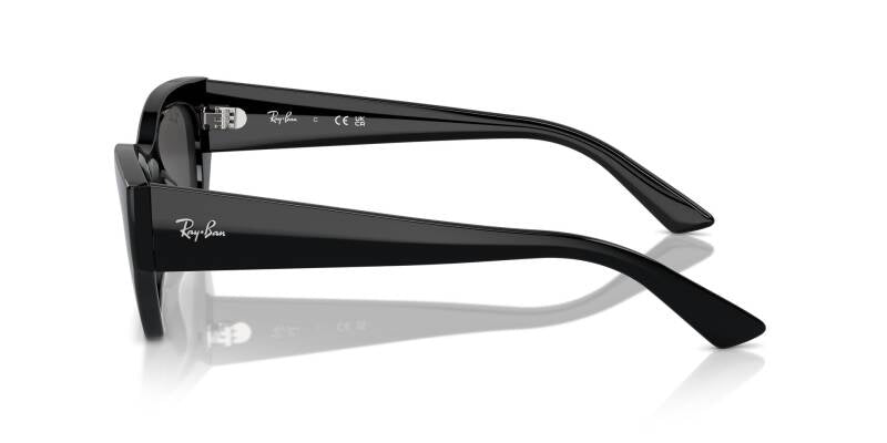 Ray-Ban 0RB4430 66778749 Unisex Classic Sunglasses 49mm