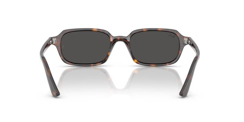 Ray-Ban 0RB4455 13598752 Men's Sunglasses Grey Lenses 52mm