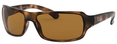 Ray-Ban 4073 642 Classic Tortoise Shell Sunglasses Standard