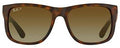 Ray-Ban Justin 4165 Polarized Square Sunglasses 54mm