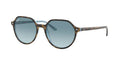 Ray-Ban 0RB2195 Blue Lens Acetate Men's Sunglasses 51mm