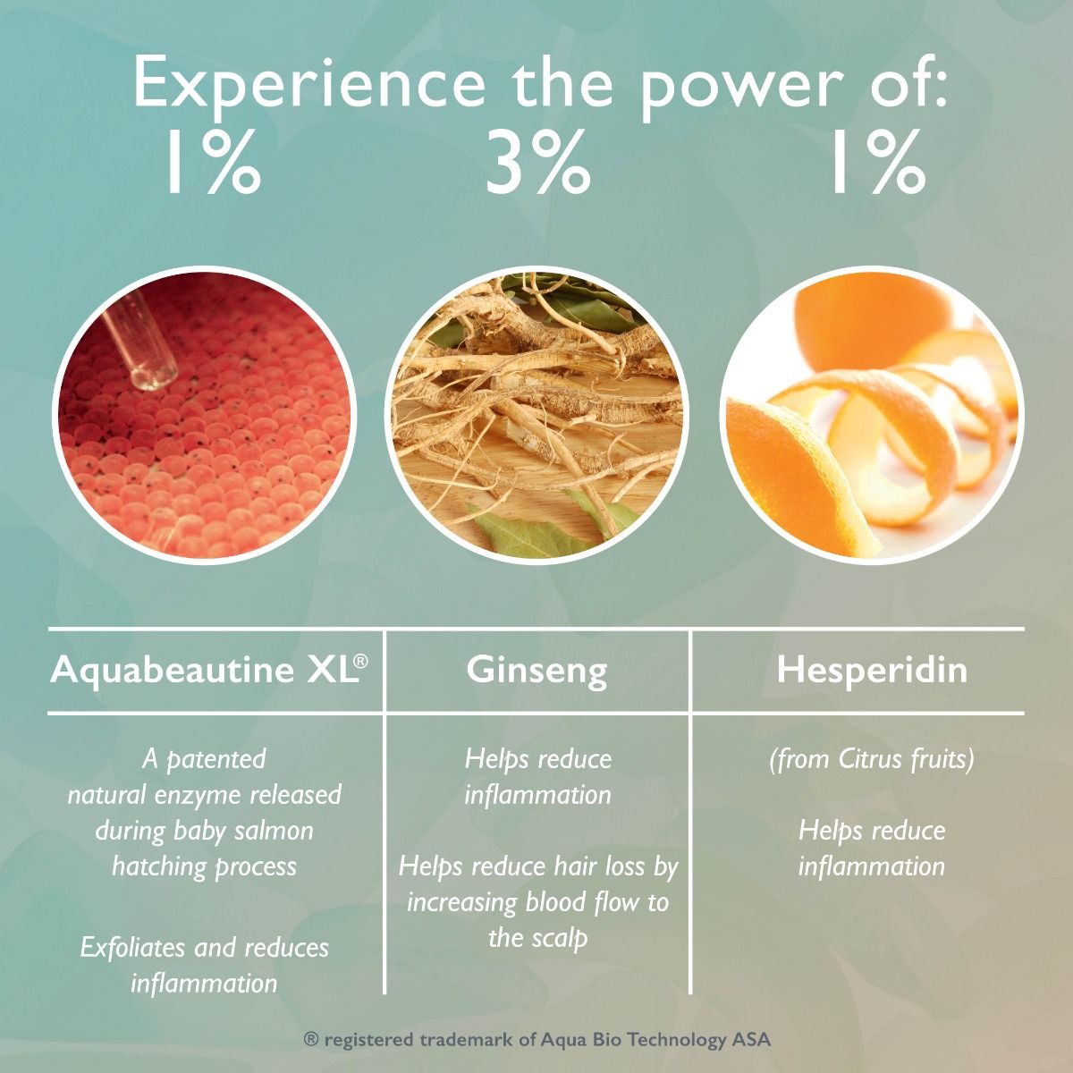 Restorsea PRO Revitalizing Scalp Treatment