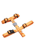 Lindo Royal H-Type Dog Harness Large for Secure Walking