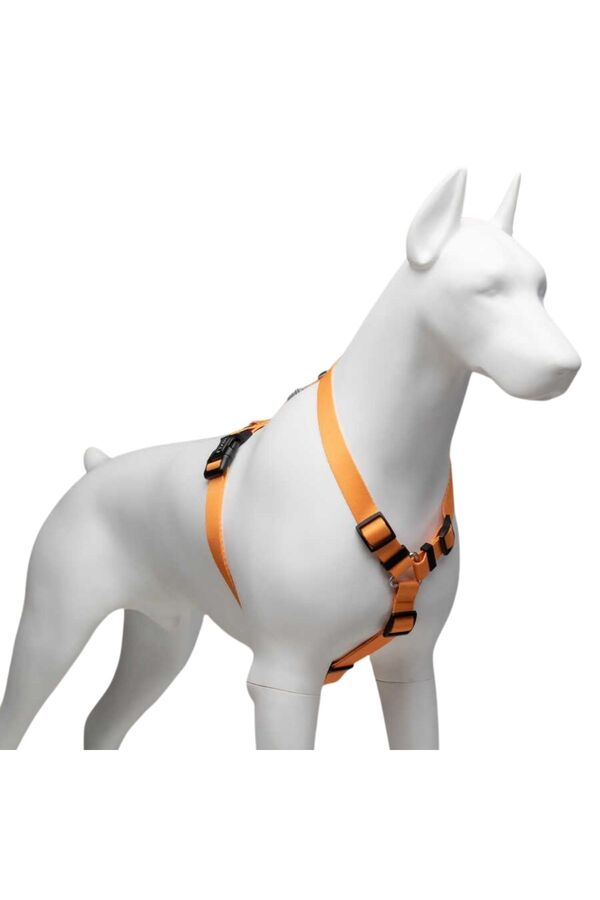 Lindo Royal H-Type Dog Harness Large for Secure Walking