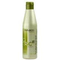 Salerm Citric Balance 01 Shampoo (9 oz)