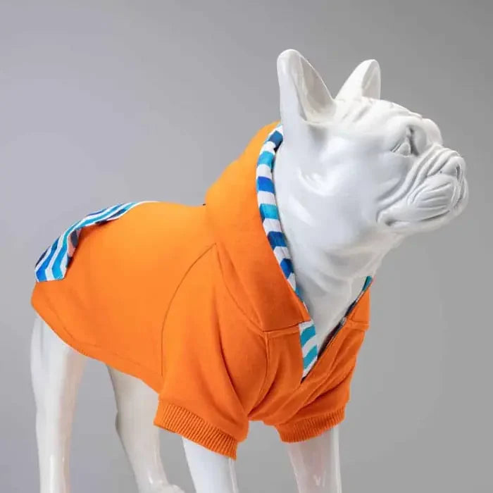 Lindo Sydney Dog Sweatshirt Warm Protective Pet Apparel