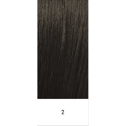 Selfie Star Shametra Wig Color 2