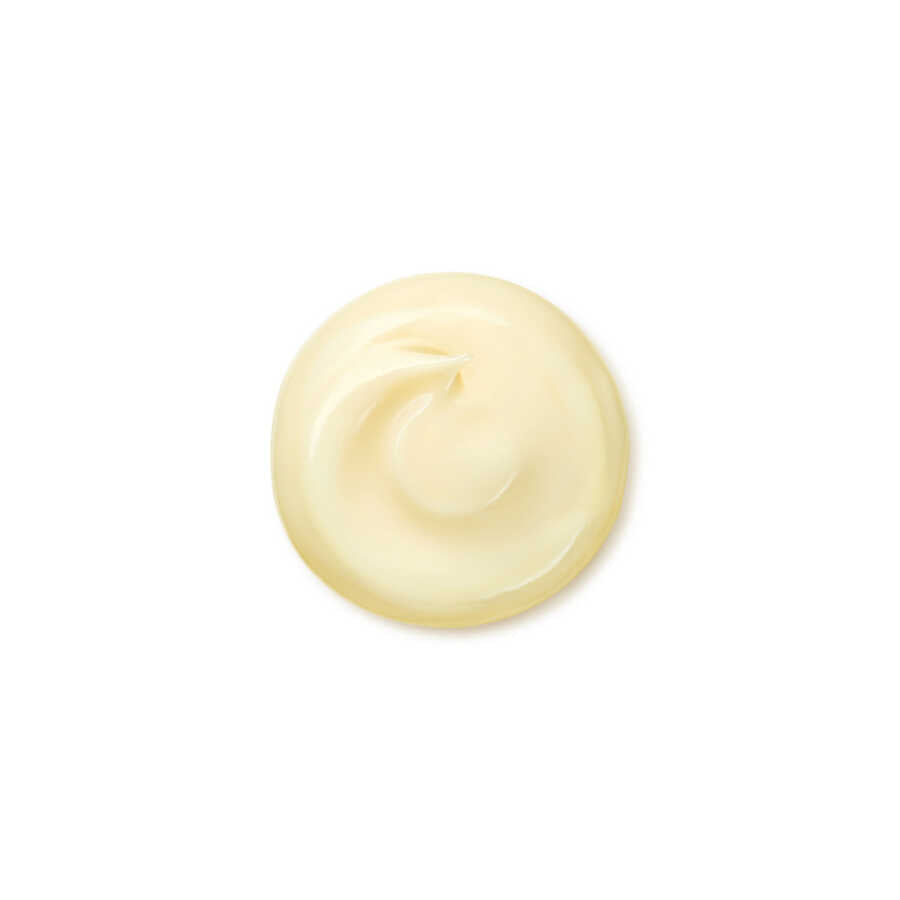 Shiseido Benefiance Wrinkle Smoothing Enriched Cream 50ml
