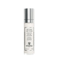 Sisley All Day All Year Anti-Aging Moisturizer for Radiance 50ml