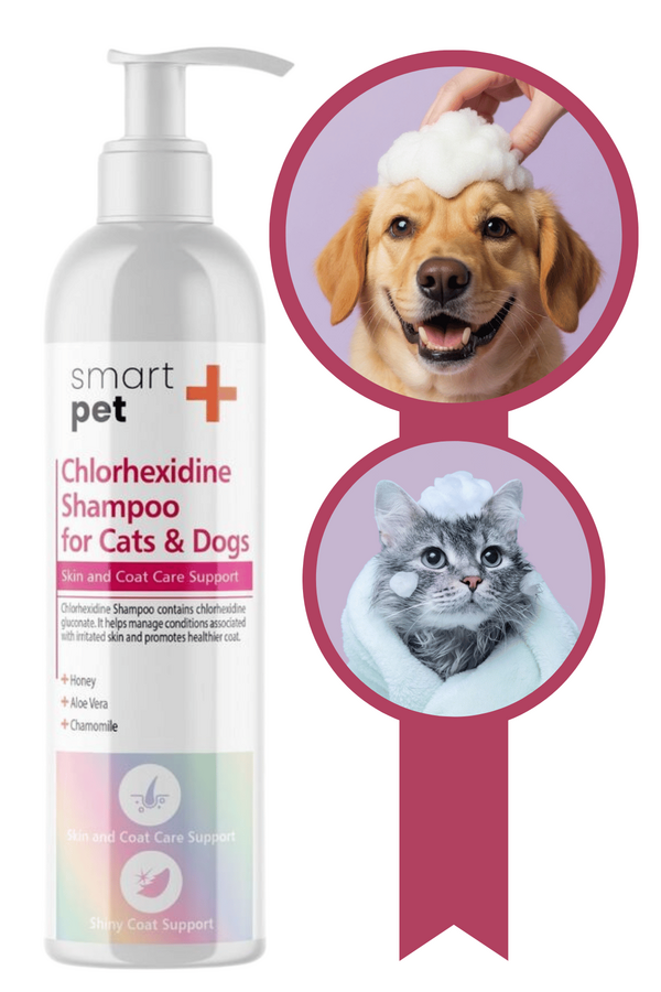 SmartPet+ Chlorhexidine Soothing Pet Shampoo for Itchy Skin 250ml