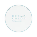 Kryolan Dermacolor Fixing Powder Waterproof Setting P1 20 g