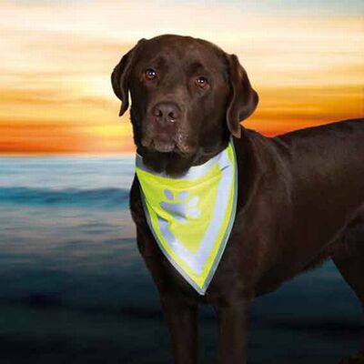 Trixie Dog Bandana High-Visibility Reflective XS-S 22-28cm
