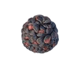 Unique Dome Buns Style 2