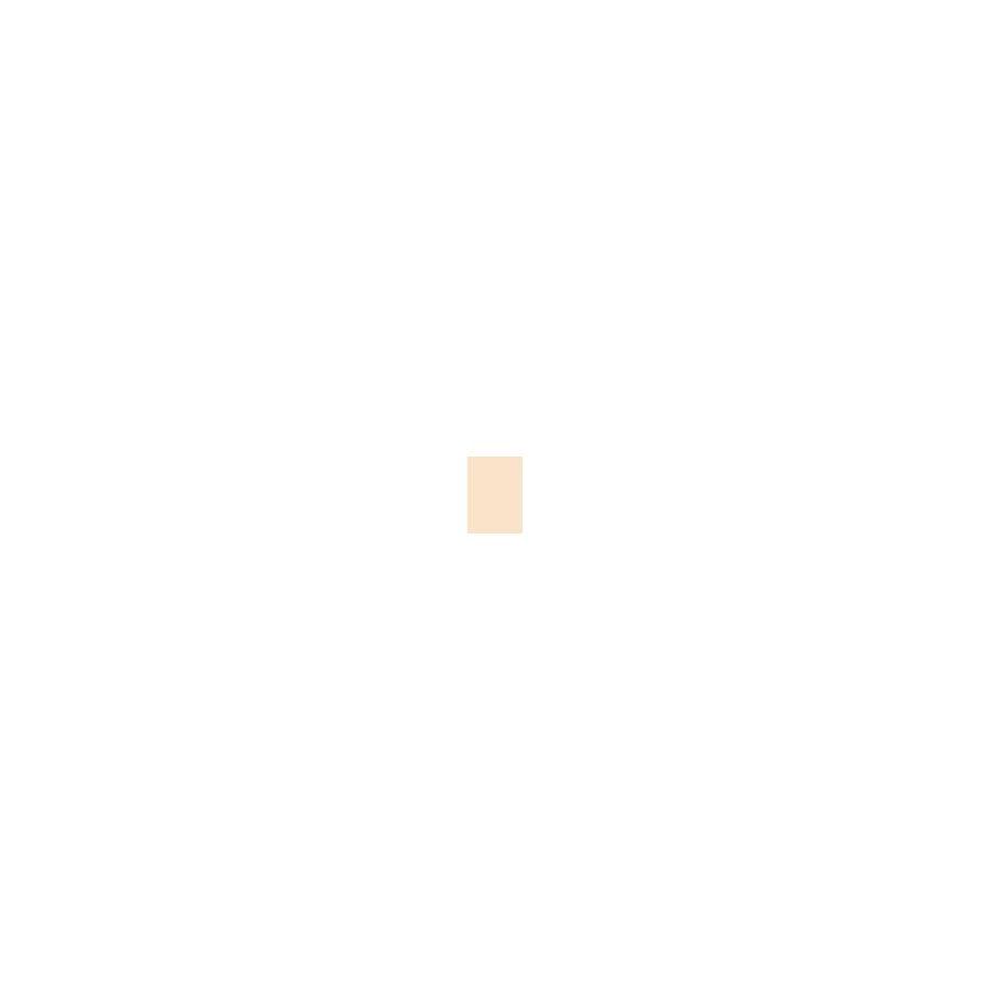 Shiseido Pureness Matifying Compact Oil-Free Foundation 11g