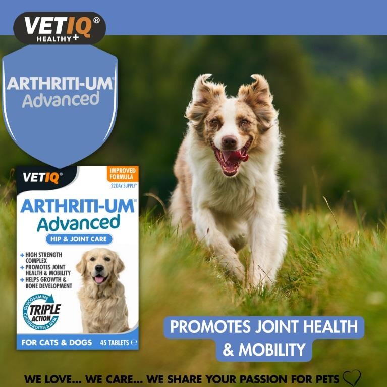 Vet IQ Arthriti-UM Advanced Joint Support for Cats & Dogs 45 Tablets