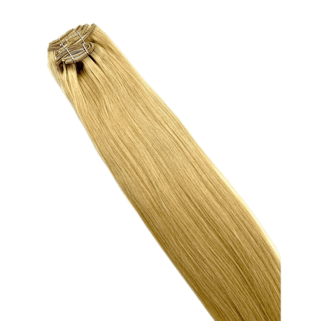 VIP Clip Extensions / Silky Straight 24" (170 g) - ClipeX System