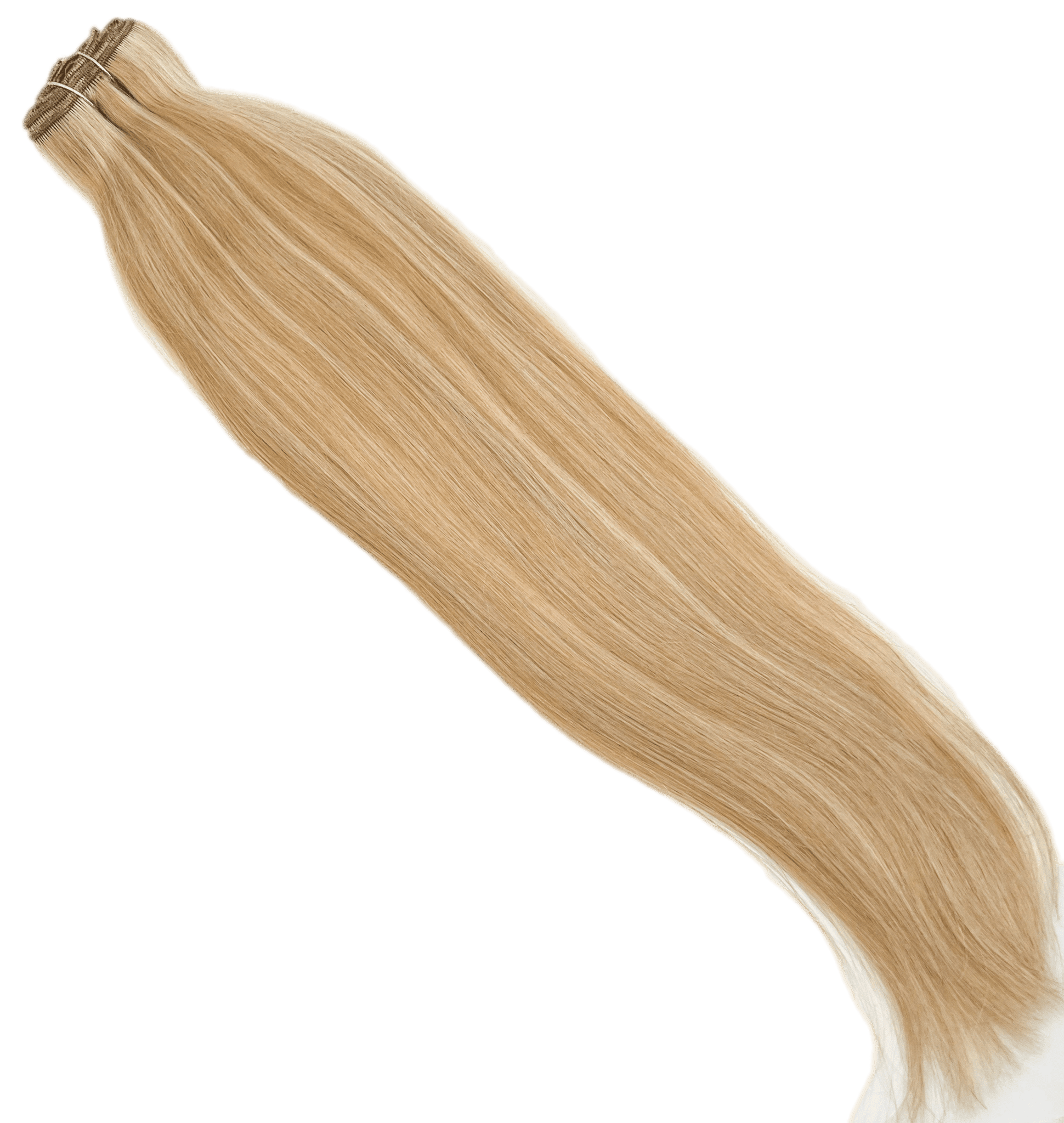VIP Clip Extensions / Silky Straight 24" (170 g) - ClipeX System