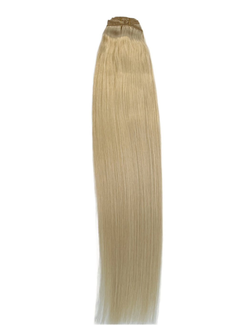 VIP Clip Extensions / Silky Straight 24" (170 g) - ClipeX System