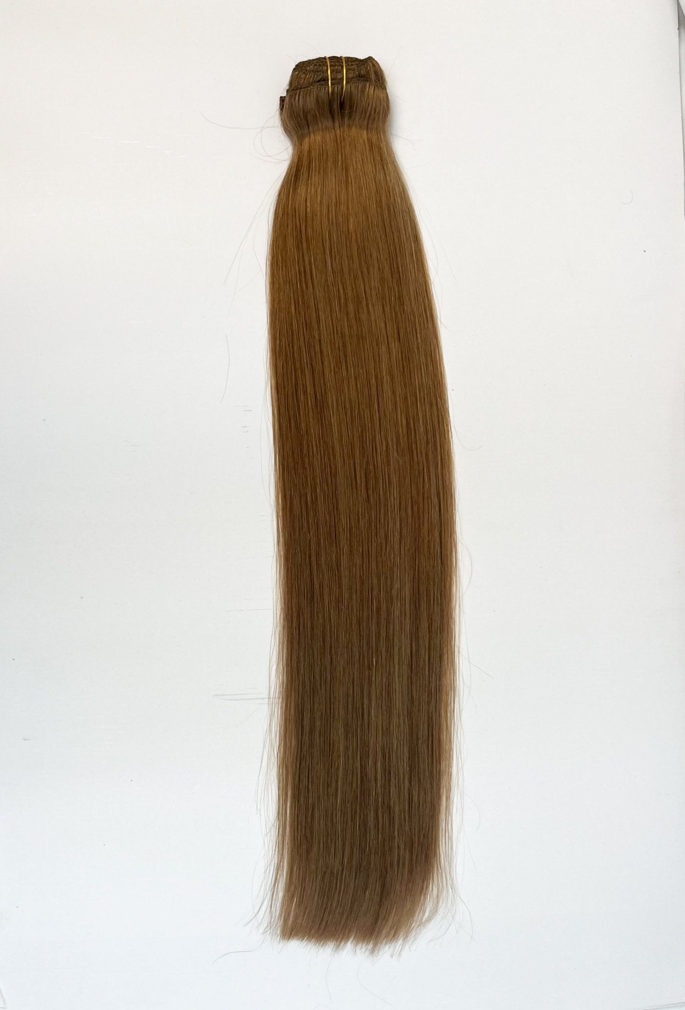 VIP Clip Extensions / Silky Straight 24" (170 g) - ClipeX System