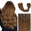 VIP Clip Extensions / Silky Straight 24" (170 g) - ClipeX System