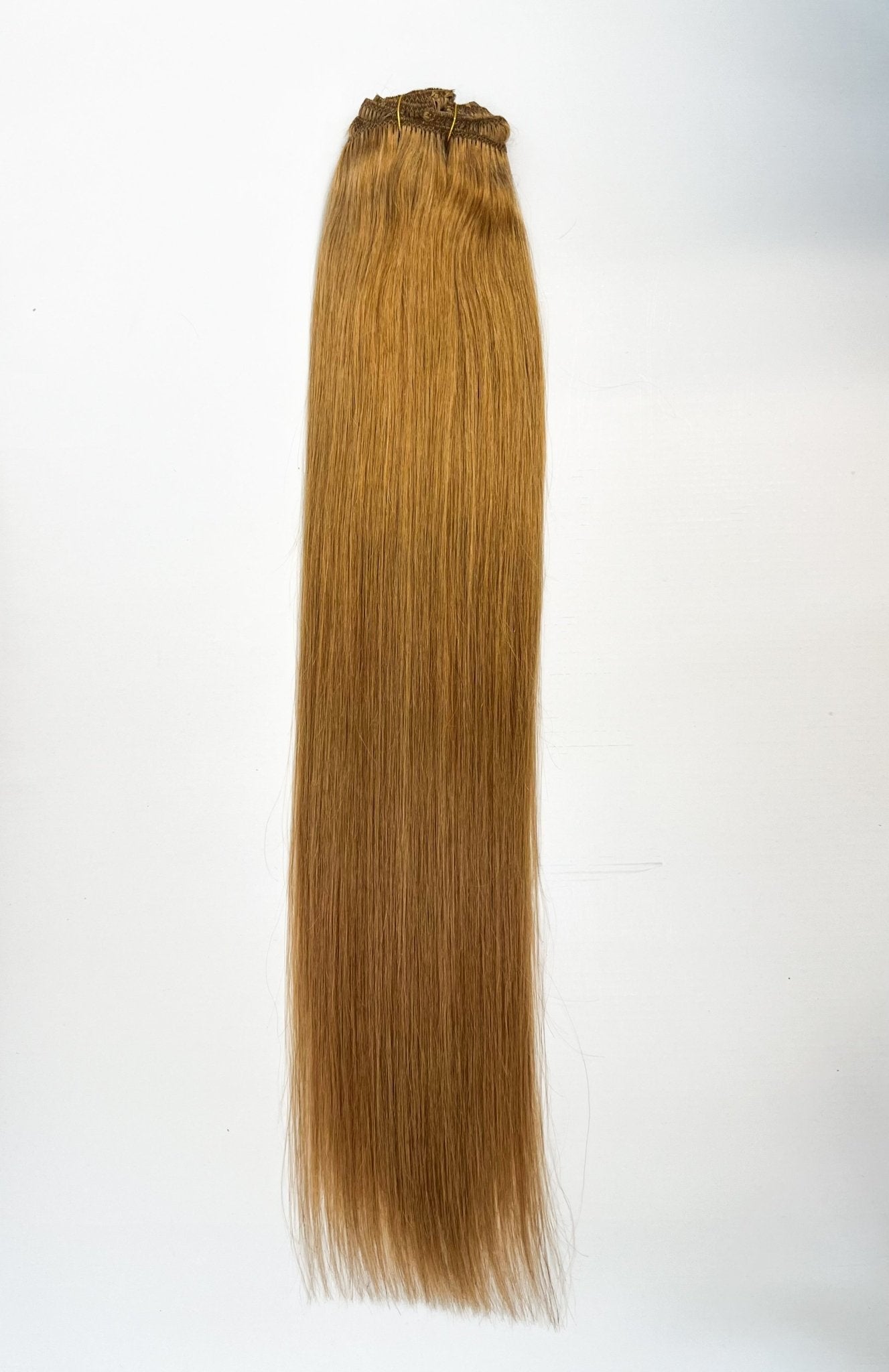 VIP Clip Extensions / Silky Straight 24" (170 g) - ClipeX System