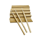 VIP Eyelash Micro Brushes with Bamboo Handle, 50 pcs/Bag