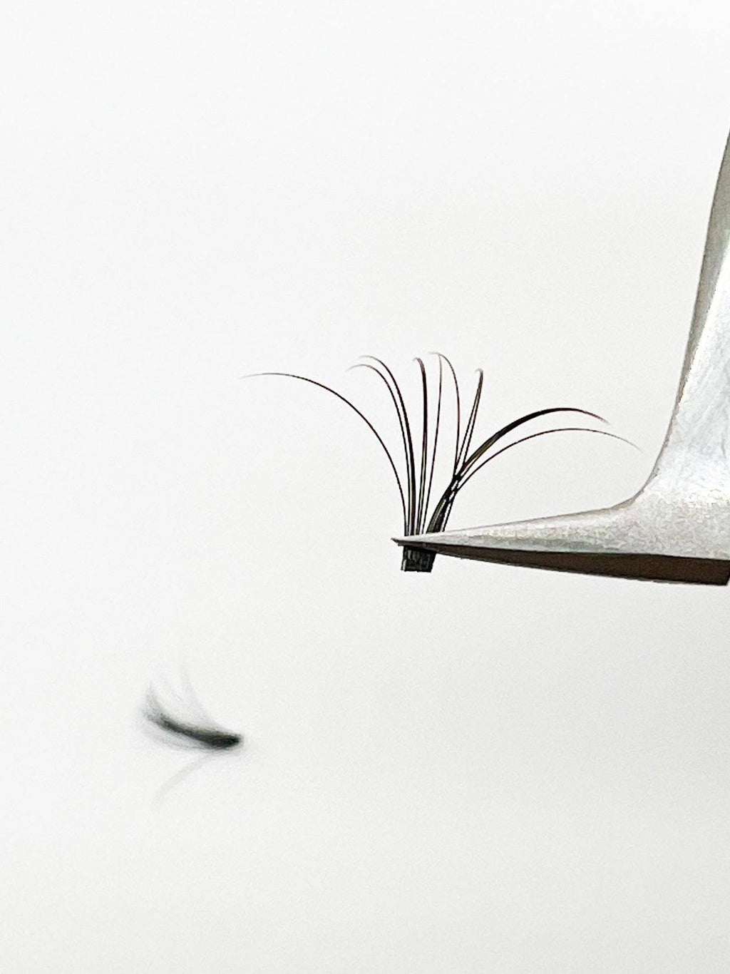 VIP Quick Fan Eyelash Extensions 12 Lines 0.05 C Curl - Choose Size