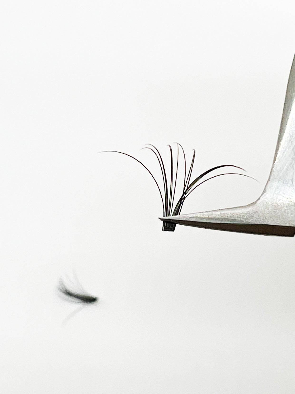VIP Quick Fan Eyelash Extensions 12 Lines 0.05 C Curl - Choose Size