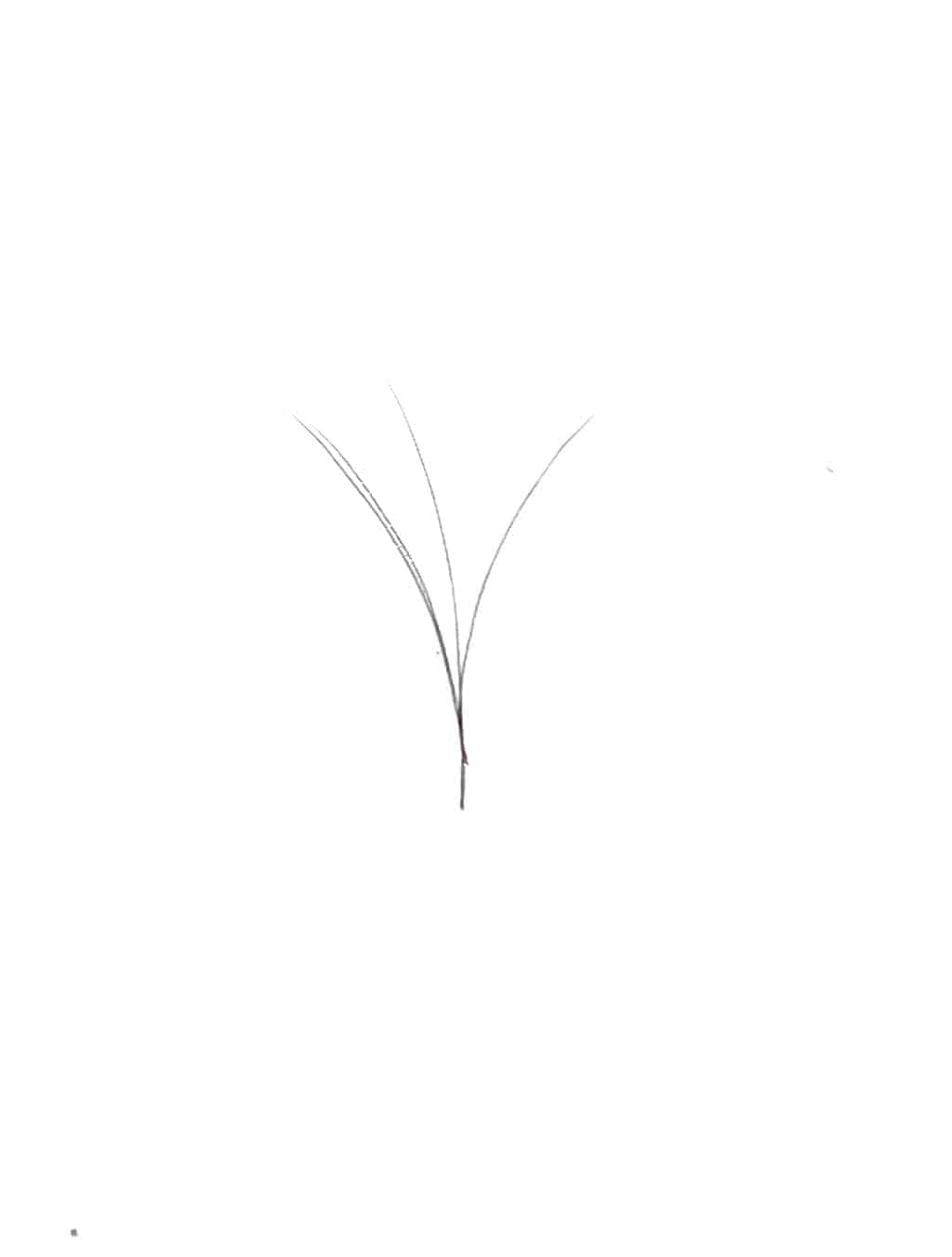 VIP Extensions V Type Easy Fan Lashes 0.5 C Curl 12 Lines - Pick Size