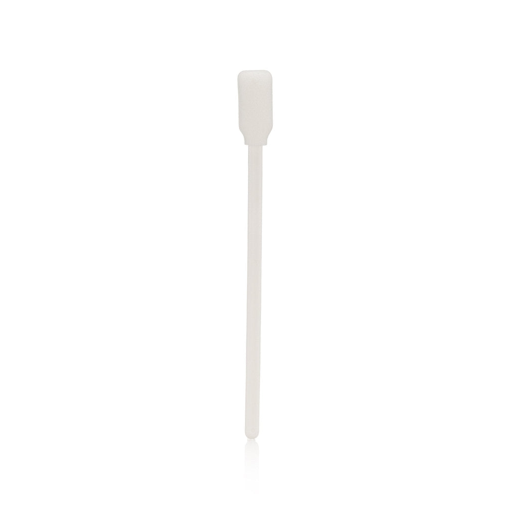 Walker Tape Brush and Sponge Glue Applicator