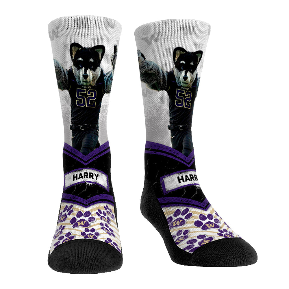 Washington Huskies - Mascot Walkout