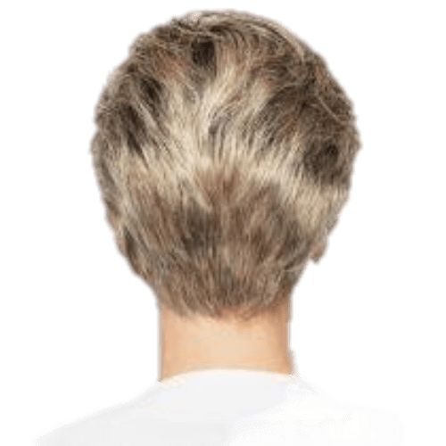Raquel Welch Winner Elite Wig